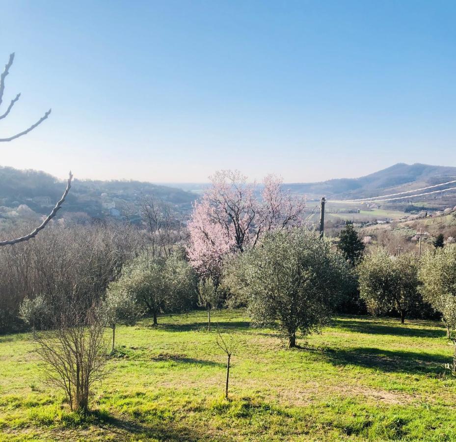 Tavern Di Arqua'